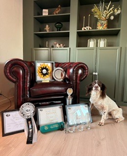 Dog Image 1