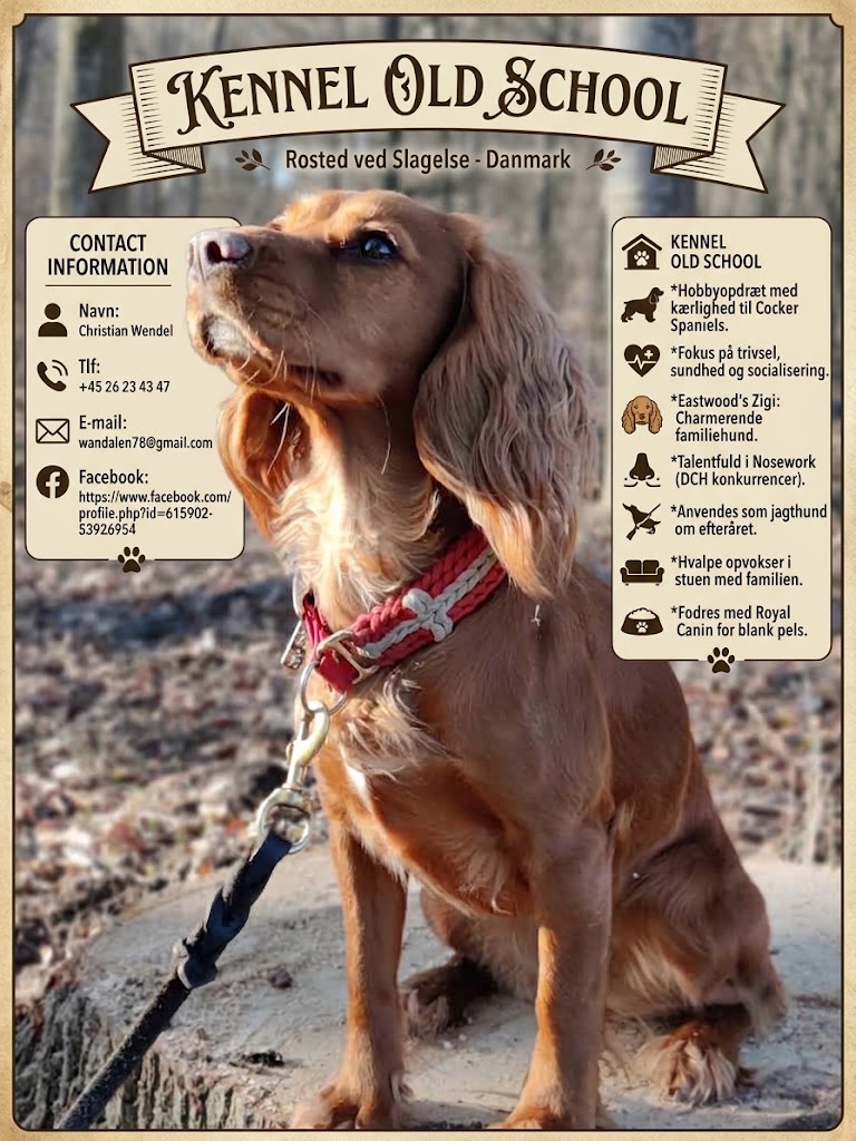 Dog Image