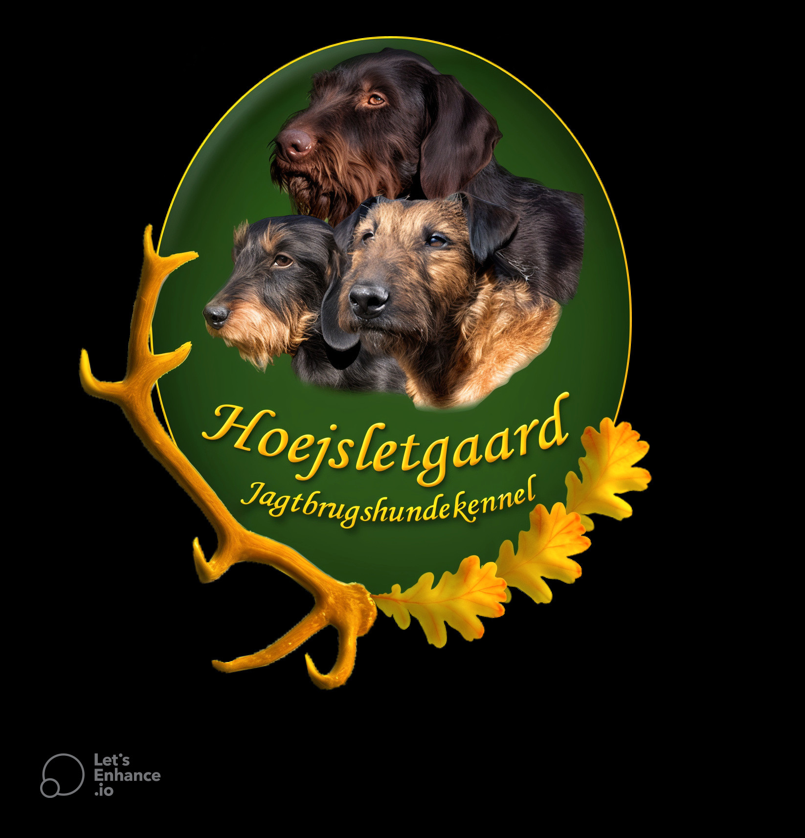 Dog Image